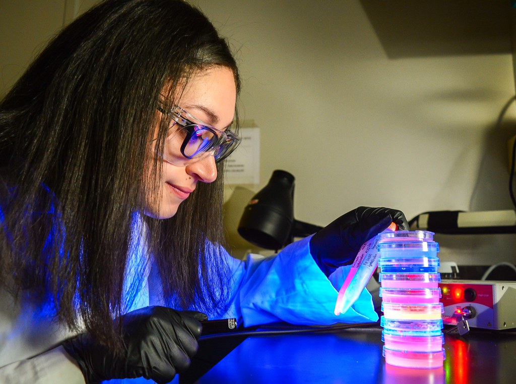 In-house Laboratory